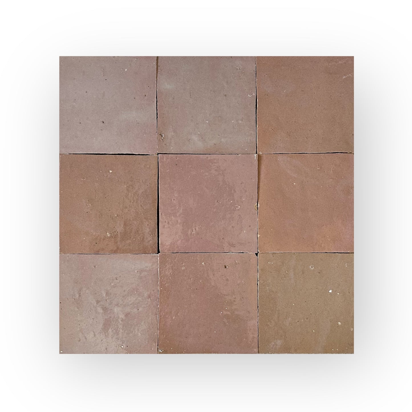 Desert Bloom/Rose